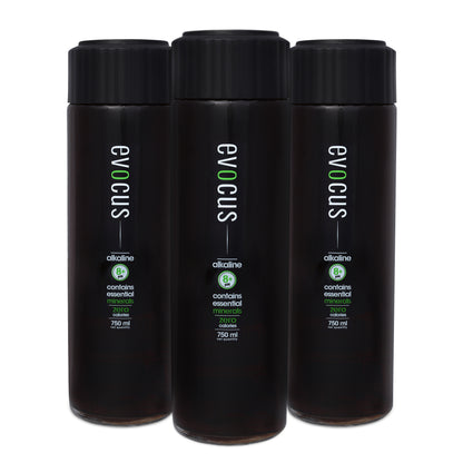 Black Alkaline Drink (Glass Bottle) - 750ml