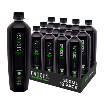 Black Alkaline Drink - 500ml