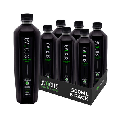 Black Alkaline Drink - 500ml